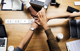 Parceiros e Clientes da Luz Engenharia